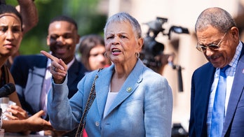 Another House Dem drops out of 2026 rat race as party faces generational reckoning