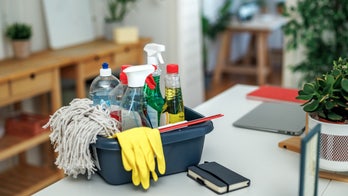 These workhorse cleaning products will save you time and energy before your holiday guests arrive