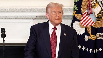 Trump compares Dems to kamikaze pilots: 'They'll take down the country if they have to'