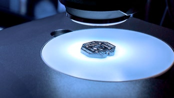 Fully implantable brain chip aims to restore real speech