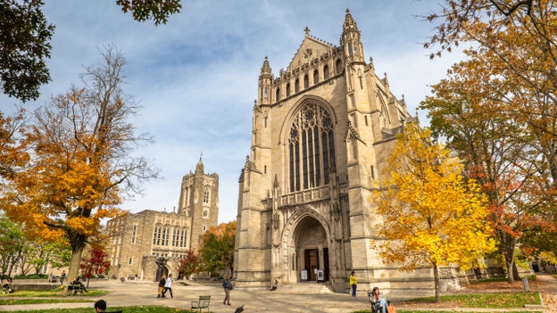 Princeton University to offer free ChatGPT accounts to all students