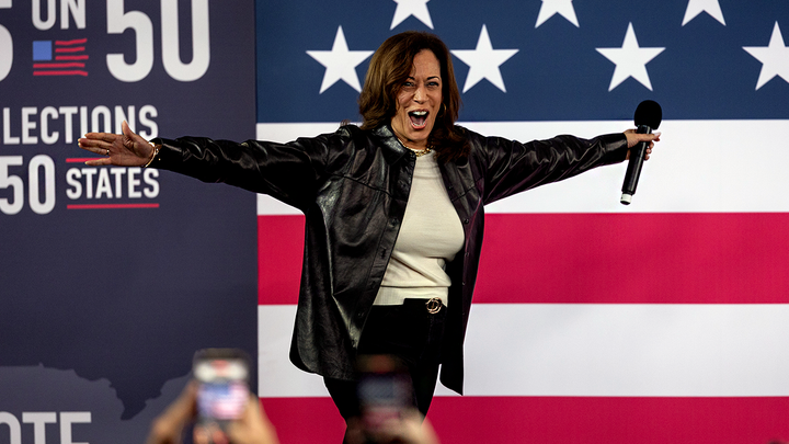 Ex-Dem insider drops bombshell on where Harris ranked in secret 2024 poll - Fox News