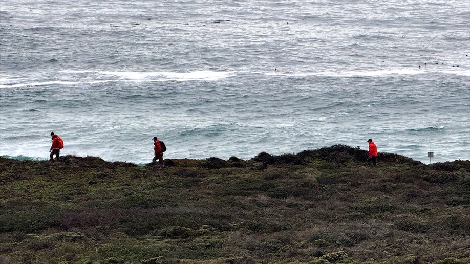 search squad  walking on  shoreline