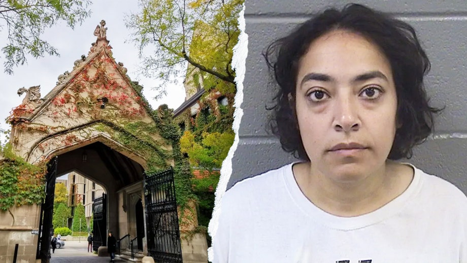 UChicago silent on anti-ICE professor's status month after rally arrest on violent charges