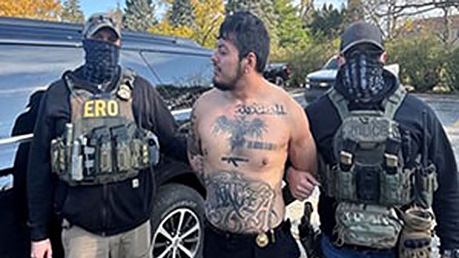 DANGEROUS ESCAPE: Criminal DACA Recipient Jumps to Freedom!