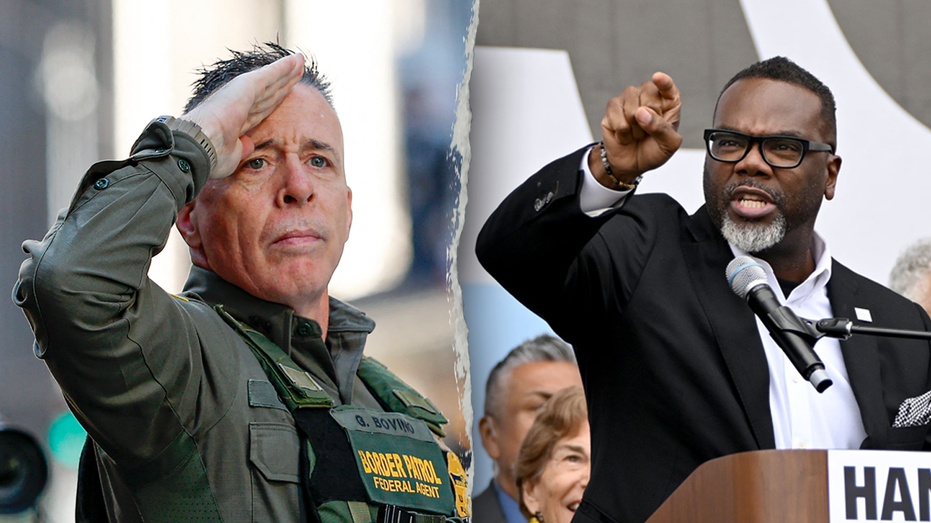 MAYOR'S SHAMEFUL SMEAR: DHS Declares Chicago Under SIEGE!