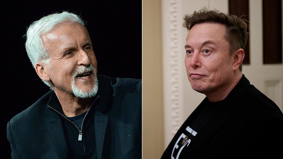 Director James Cameron says he can still work with Elon Musk despite political differences