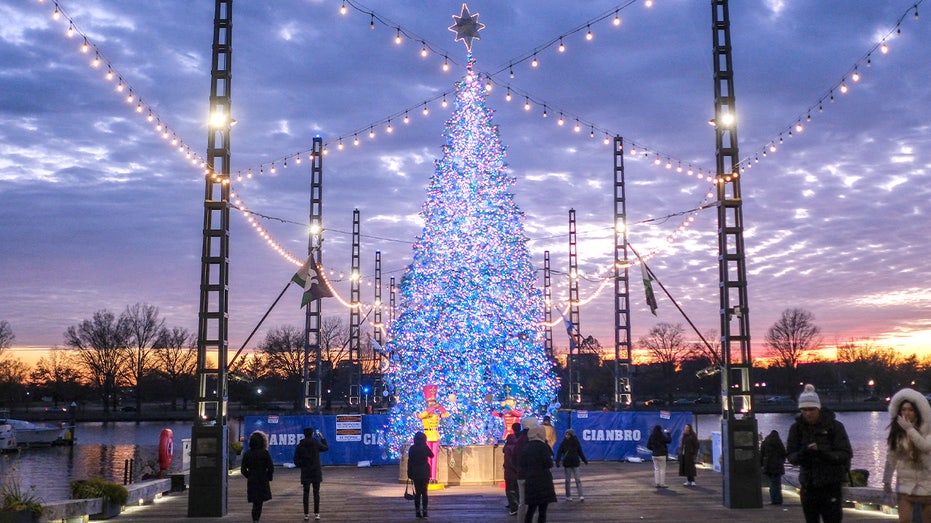 Iconic DC landmark unveils first Christmas tree as part of push to revive holiday spirit
