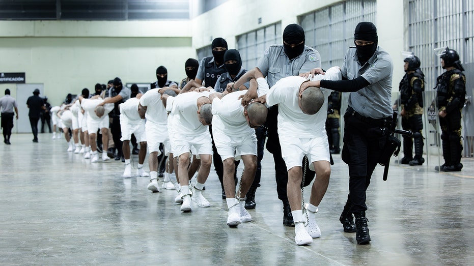 ARAGUA CARTEL KINGPIN EXPOSED: Trump's War on Crime Just Scorched the Earth!