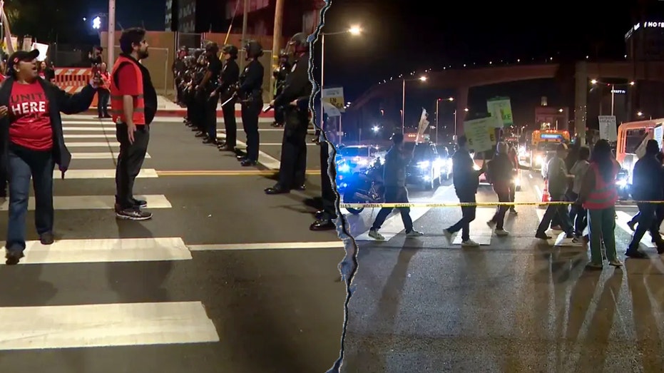 THANKSGIVING TRAVEL CHAOS: Passengers DESERT Vehicles as Airport Siege Begins!