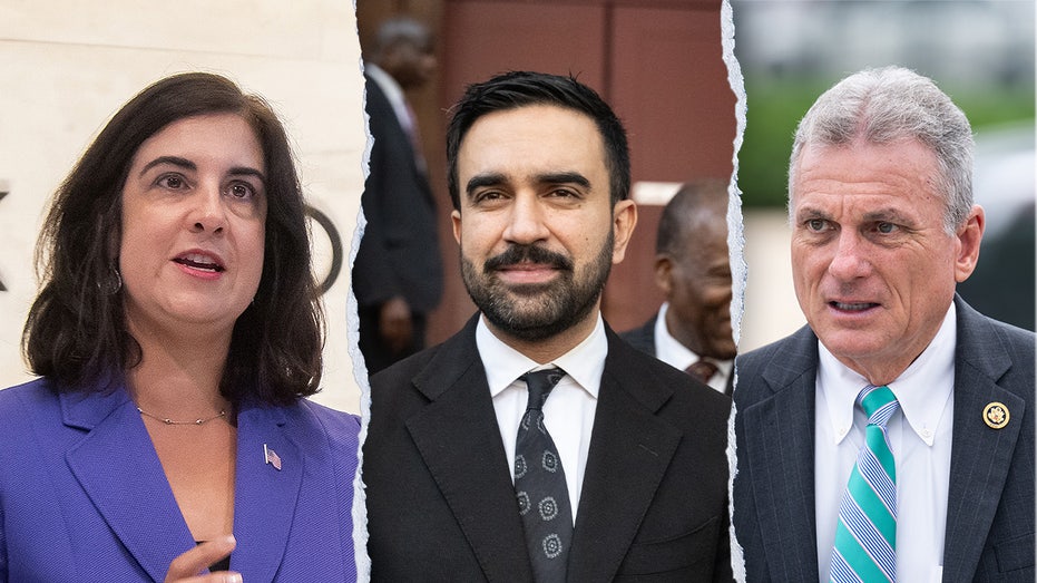 House GOP civil war ignites over 'ludicrous' bill to defund NYC while Mamdani is mayor