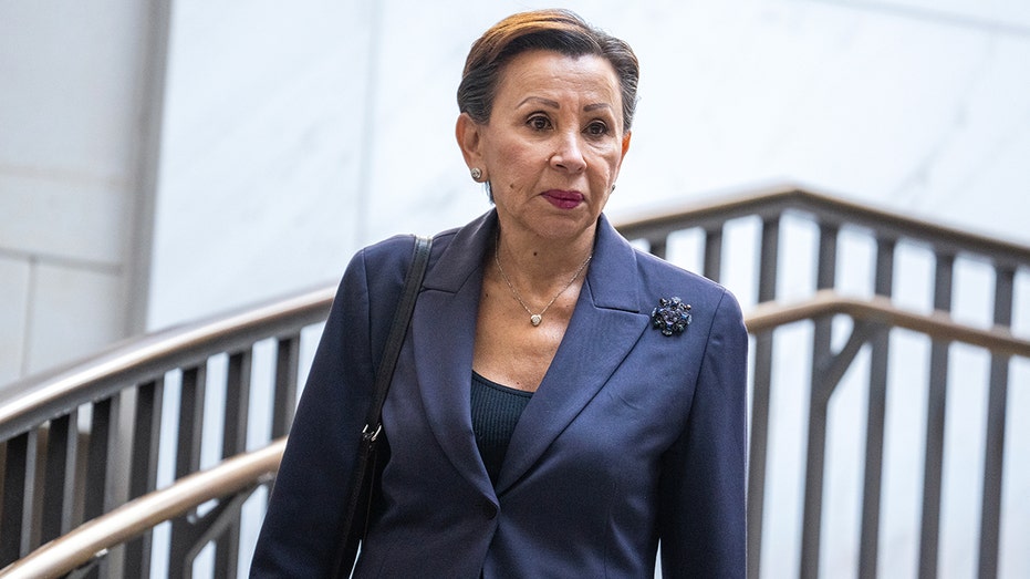 House Dem serving since 1993 announces she won't seek re-election