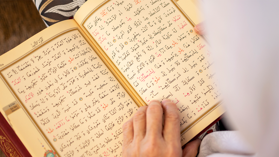 DEARBORN ERUPTS: Holy War on American Soil!