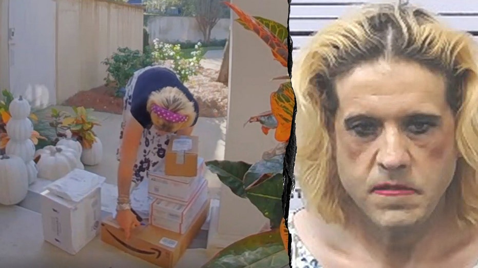 PORCH PIRATE'S SHOCKING DISGUISE EXPOSED!