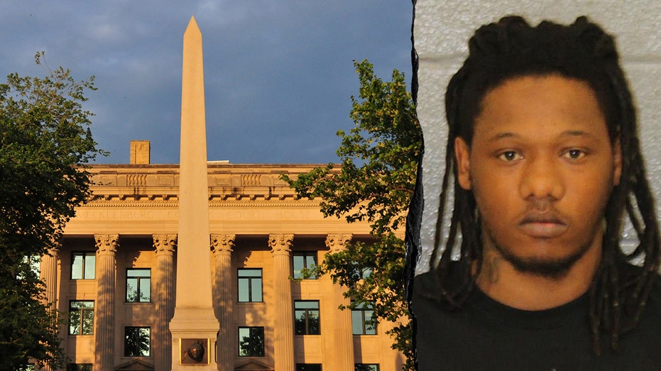 NINE TIMES! Violent Criminal Back on Streets – City's System FAILING!