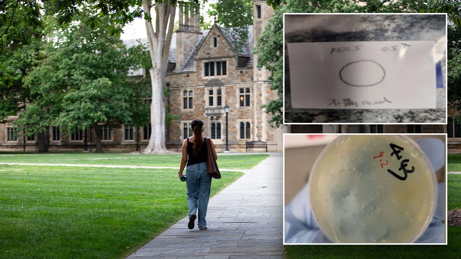 BIO-HAZARD SHOCKER: China's Lab Secrets EXPOSED!