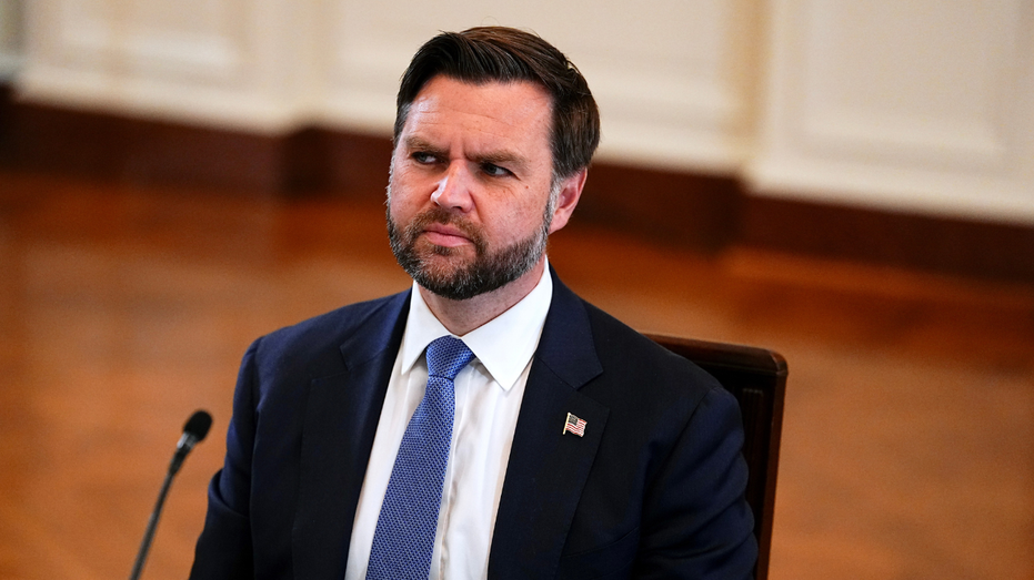 Vance faults Dems for previously rejecting 'exact deal' that reopened the government: 'All for nothing'