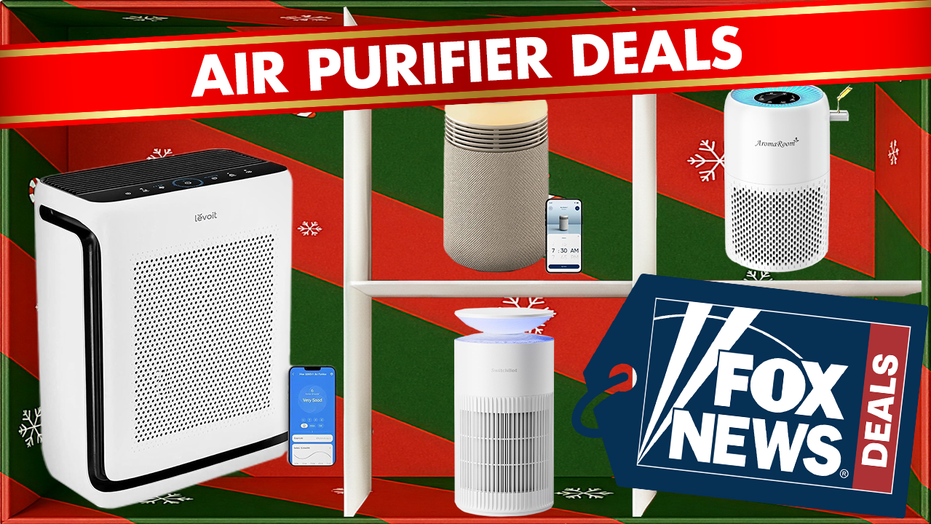 Eliminate smoke, allergens and other harmful toxins in your home with an air purifier, on sale now for Black Friday.