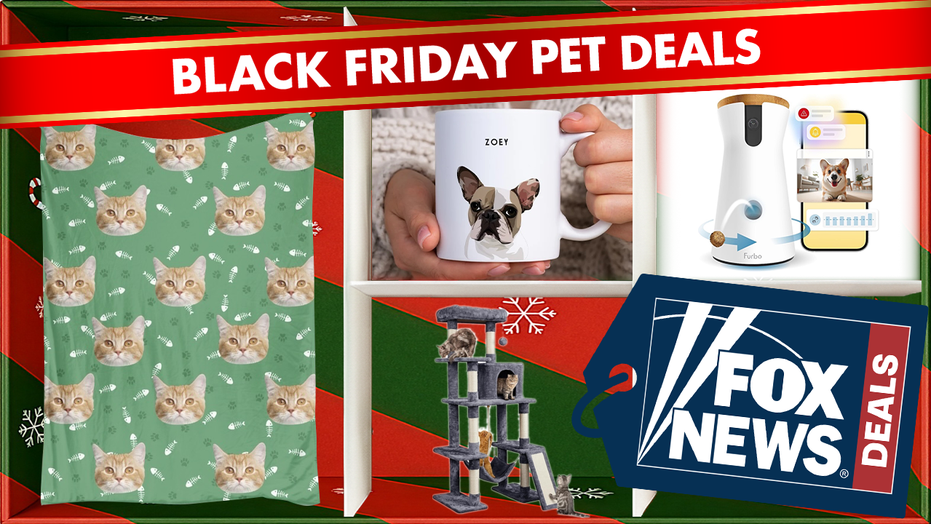 These are the best Black Friday deals on pet products, from custom keepsakes to smart gadgets and practical gifts that make life with pets easier.