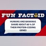 Humans and bananas share about 60 % of their protein-coding genes