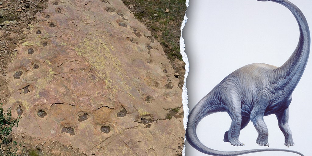 Limping dinosaur's twisted path puzzles paleontologists, 150 million years later: 'Very rare"