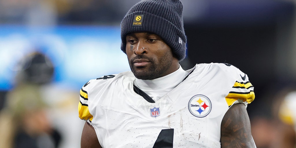 Steelers star receiver DK Metcalf takes swing at Lions fan during game in Detroit