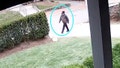 Brown shooting videos show malicious intent and awkward gait &mdash; clues to identify him: body language expert - Fox News