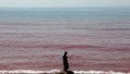 Wild viral video shows blood-red scenes covering island after rainstorm - Fox News