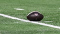 NFL cites player safety in plan to bring every stadium&rsquo;s playing surface up to enhanced standards - Fox News