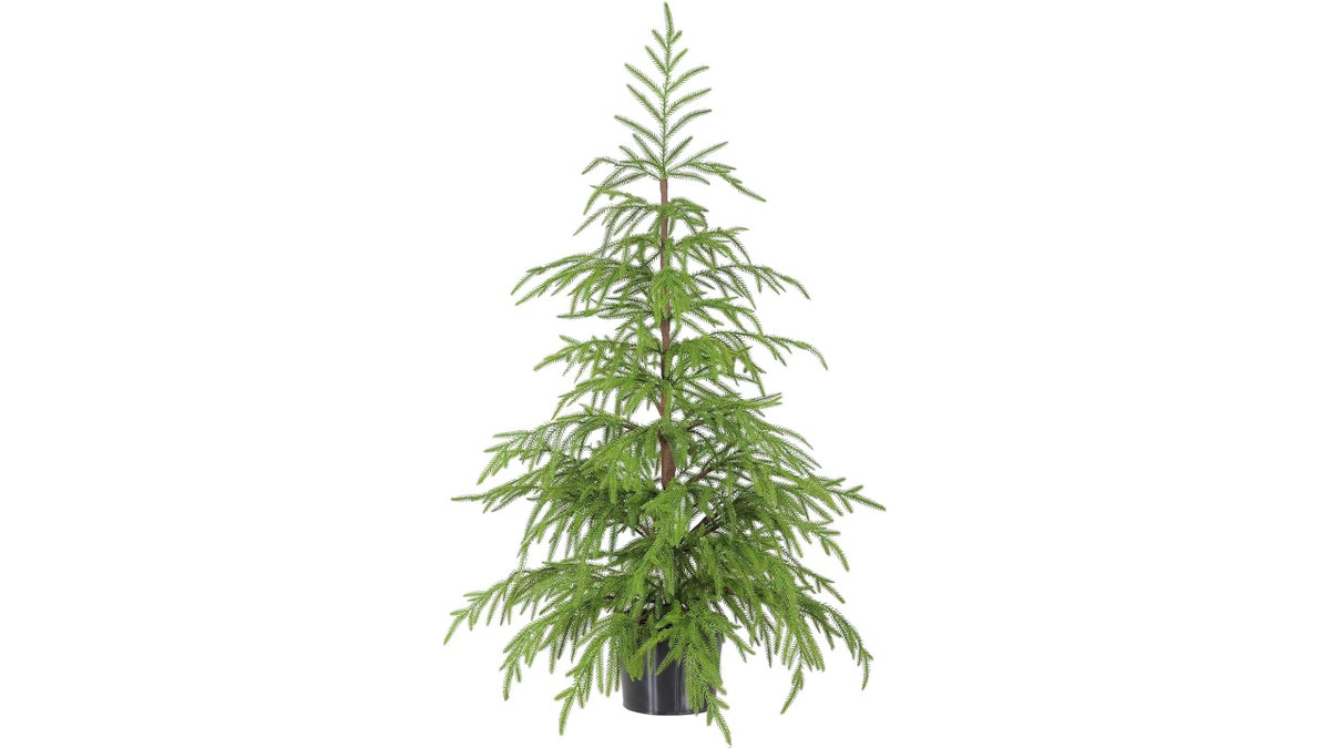 This tree is the perfect size for an entryway, bedroom or small apartment.