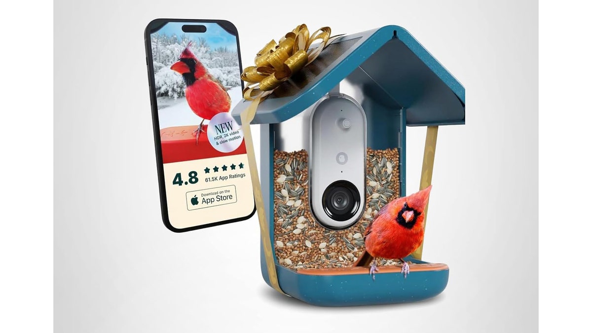 Best for: Bird watchers who want to take their hobby to the next level