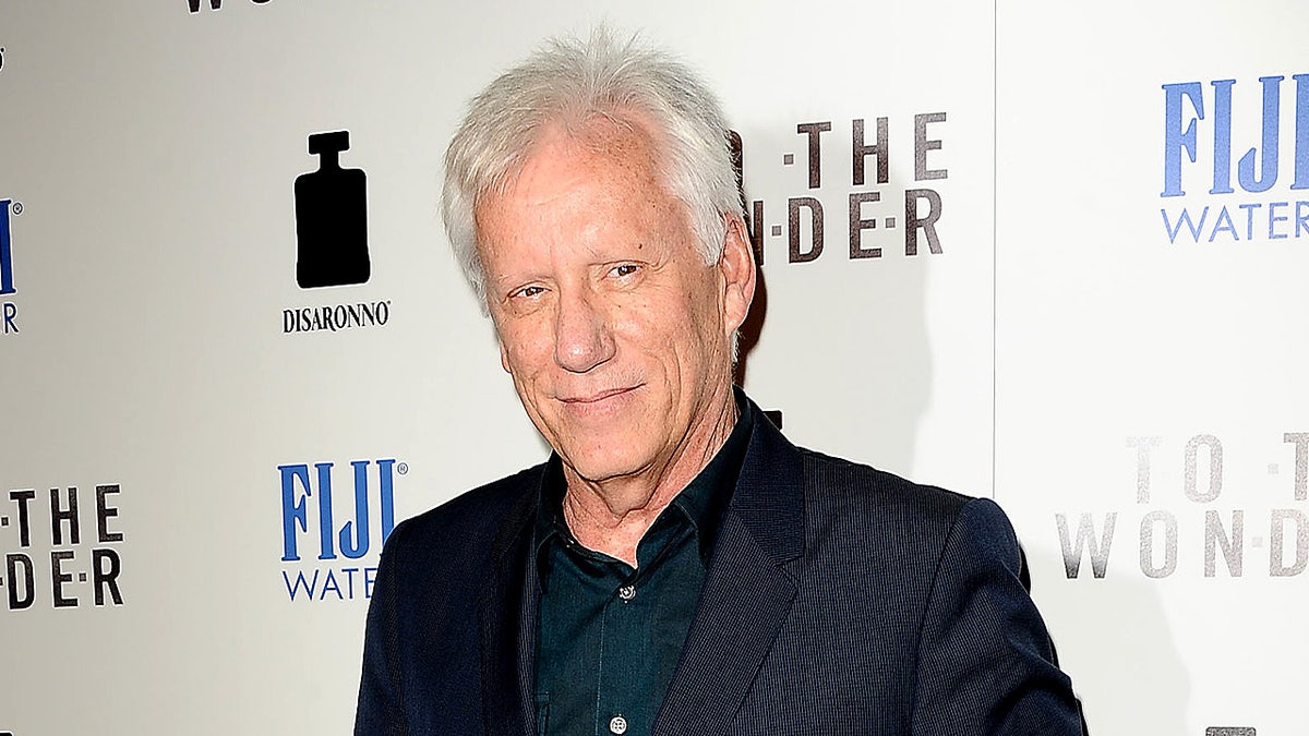 Actor James Woods in California in 2013