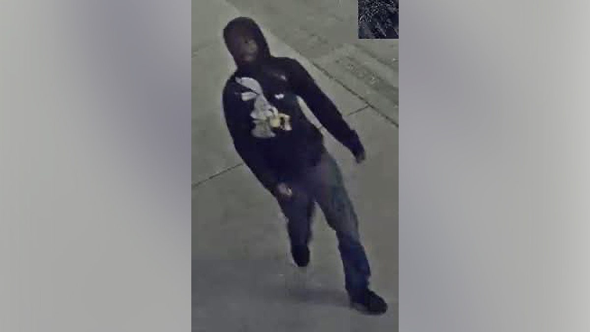 Alleged suspect in Georgia chemical attack