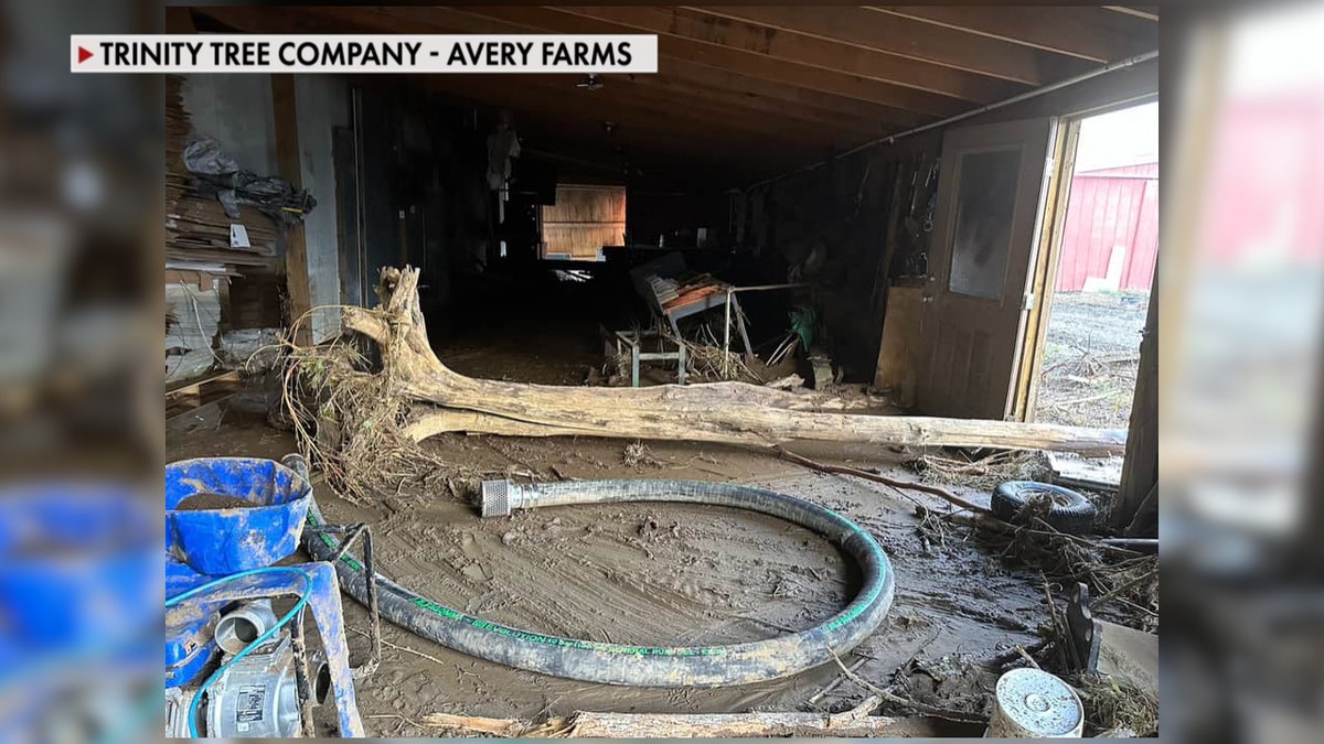 Helene damage to an NC tree farm