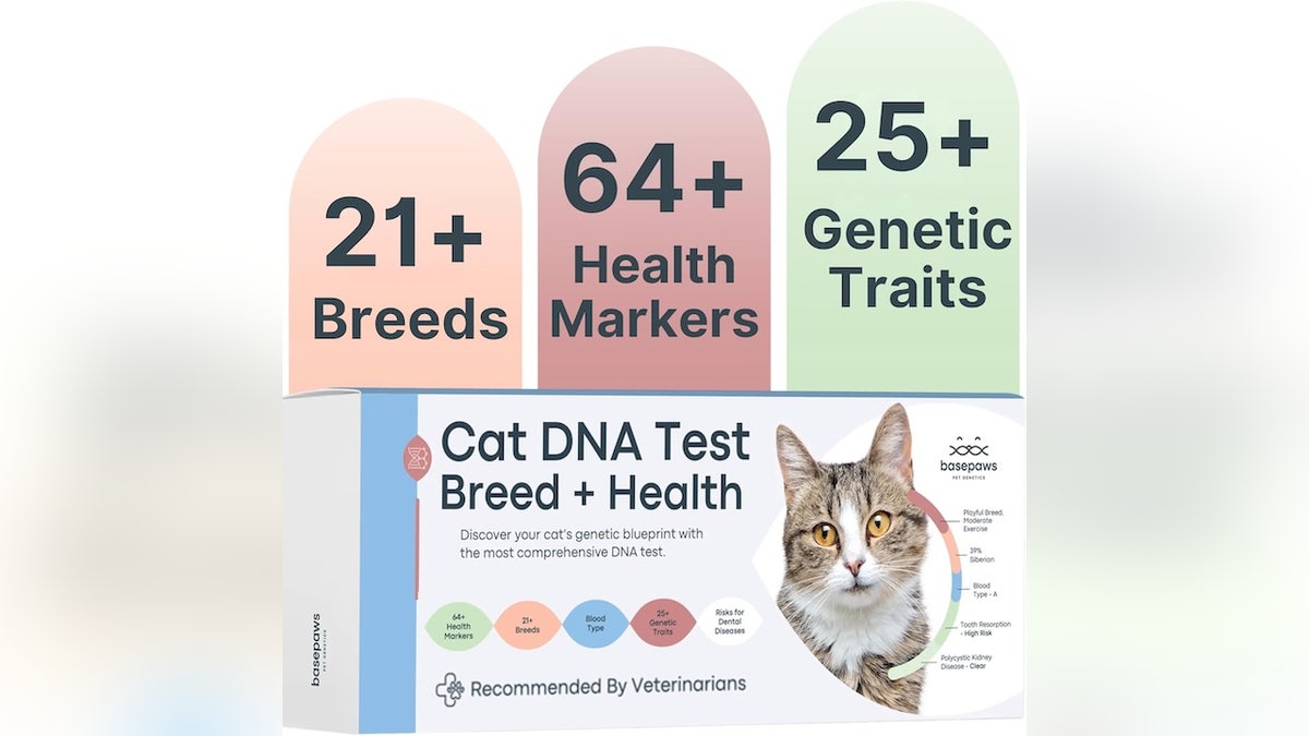 Best for: Curious owners that want to know everything about their cat