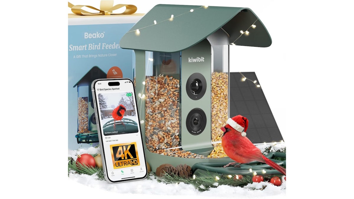 Bird watchers who want to take their hobby to the next level