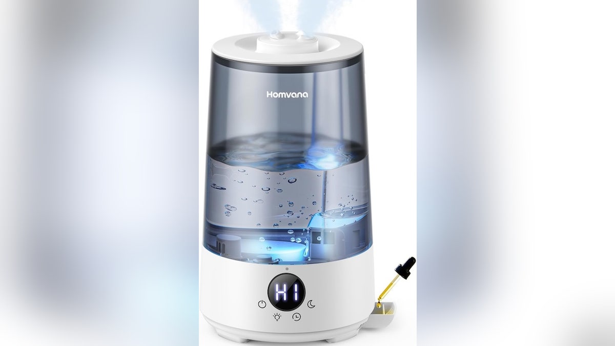 This humidifier is good for beating dry winter air.
