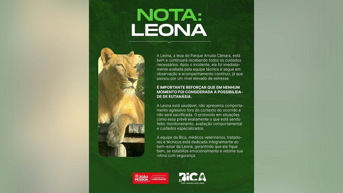 Una dichiarazione di BICA riguardante la leonessa che ha sbranato un visitatore entrato nel suo recinto