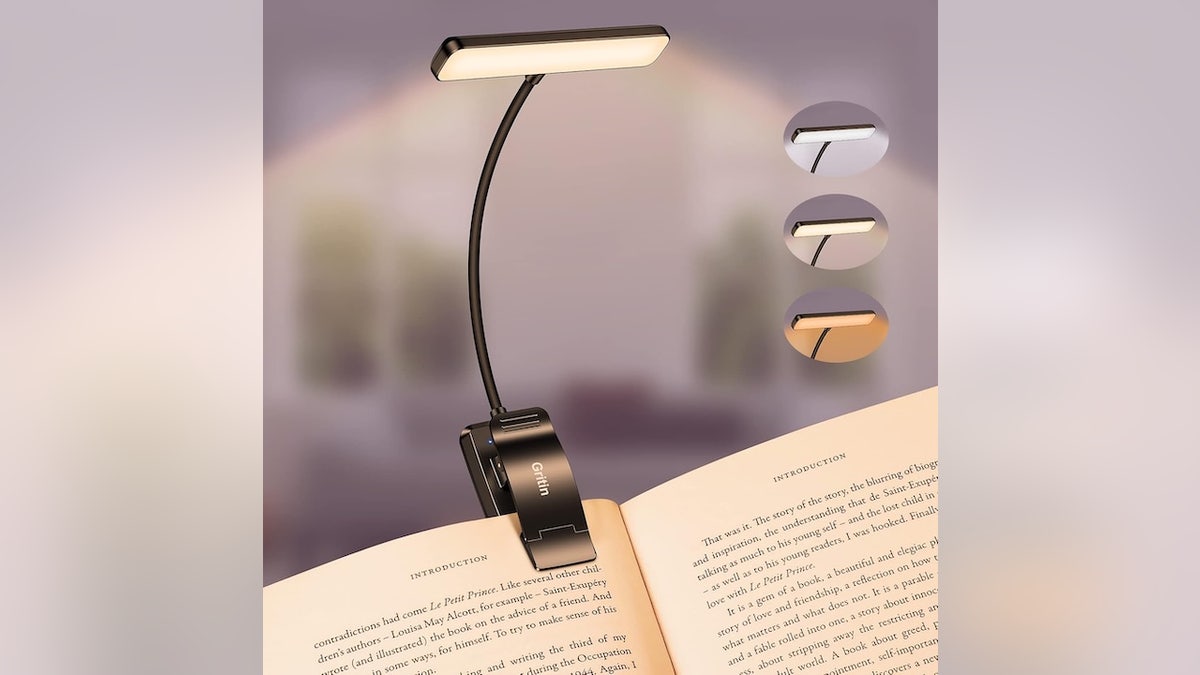 This rechargeable book light is a must-have gift for any reader.