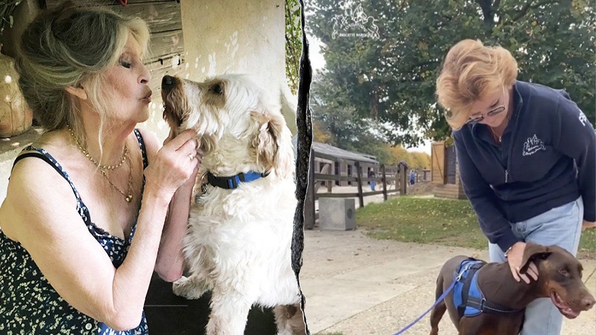 Split photo of Brigette Bardot affectionately with dogs.