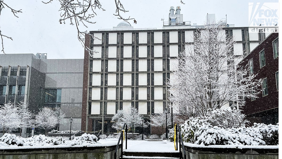 budynek inżynieryjny na terenie kampusu