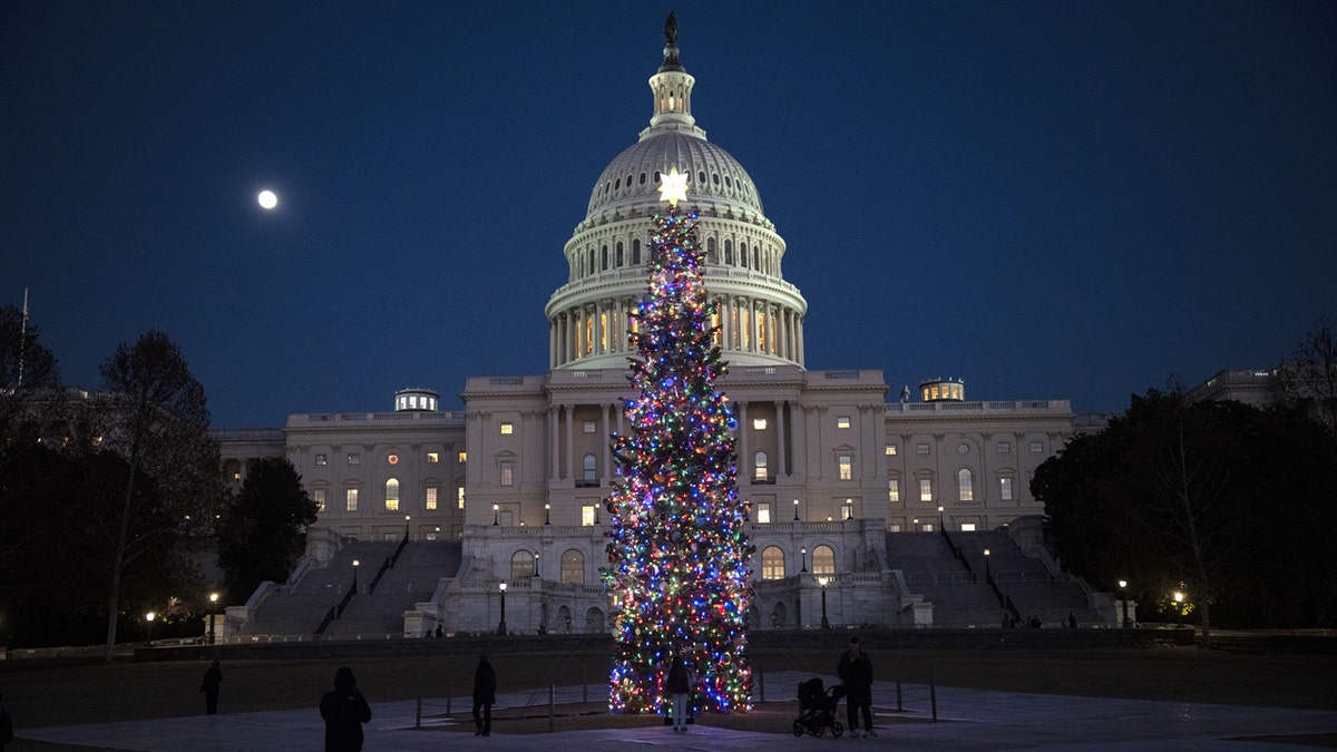 Capitol Building at Christmastime