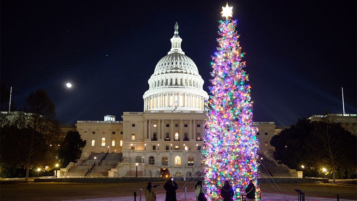 U.S Capitol with a Christmas tree in the foreground