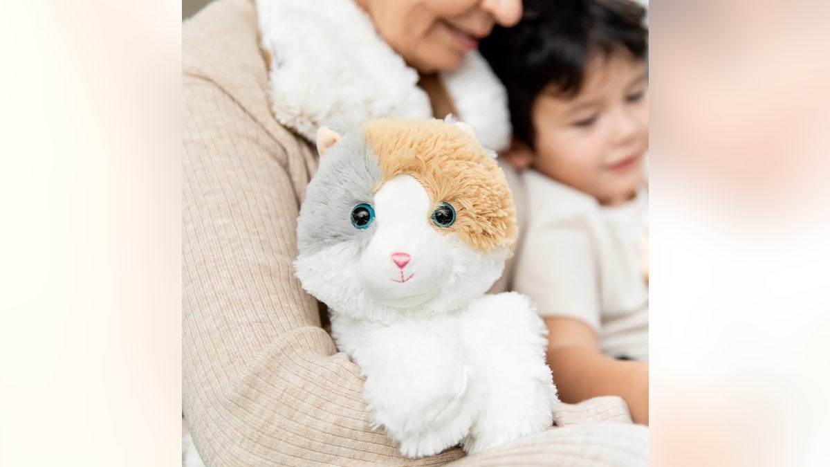 Best for: The cat lover who could use some relaxation