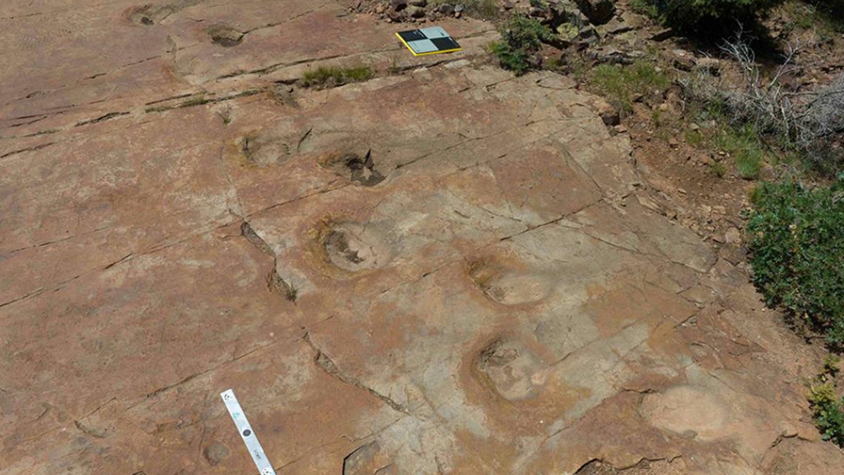 Aerial view of dinosaur trackway