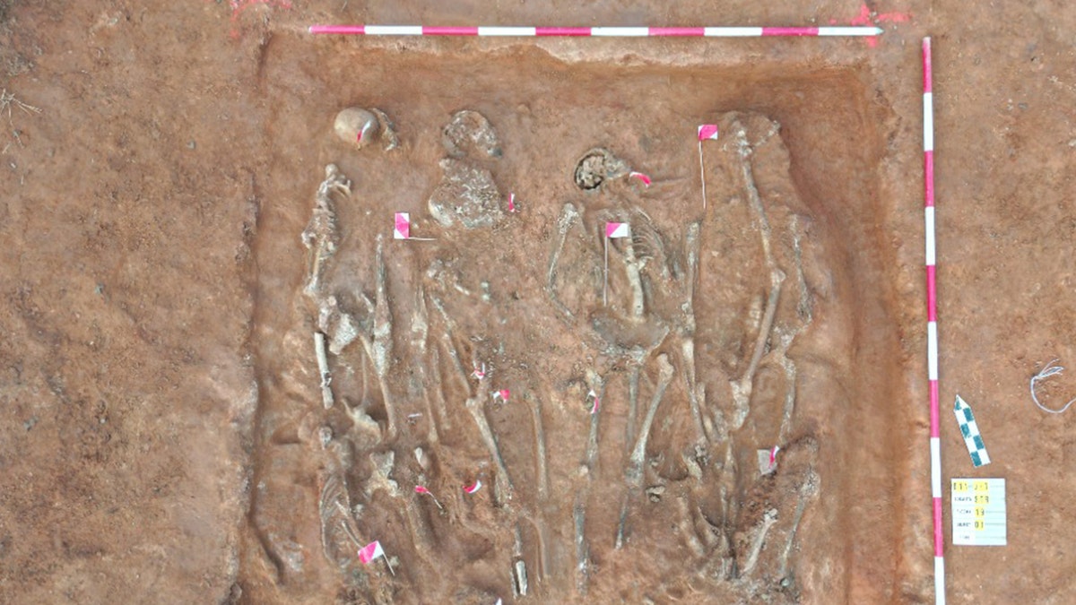 Skeletons in mass grave