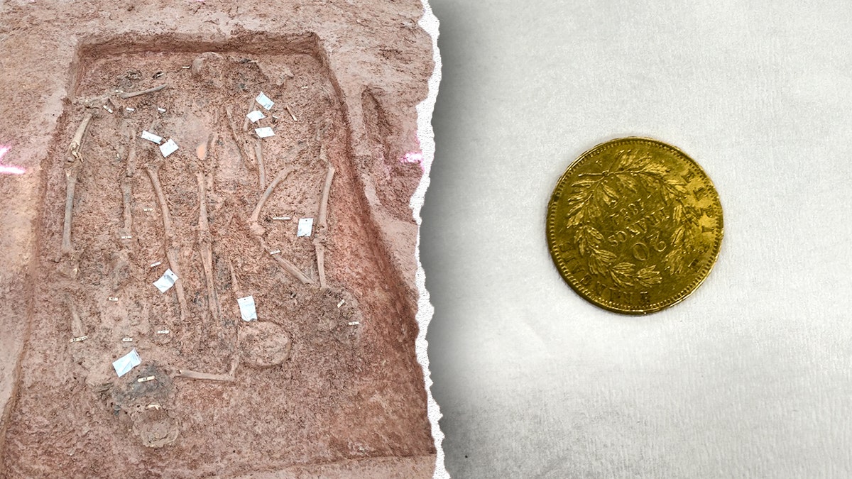 Split image of skeletons, coin