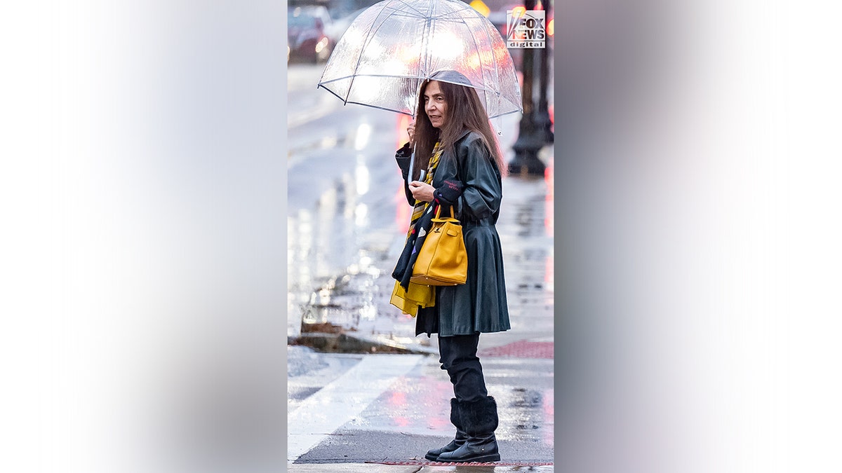 Brian Walshe's mother, Ana Walshe's mother-in-law