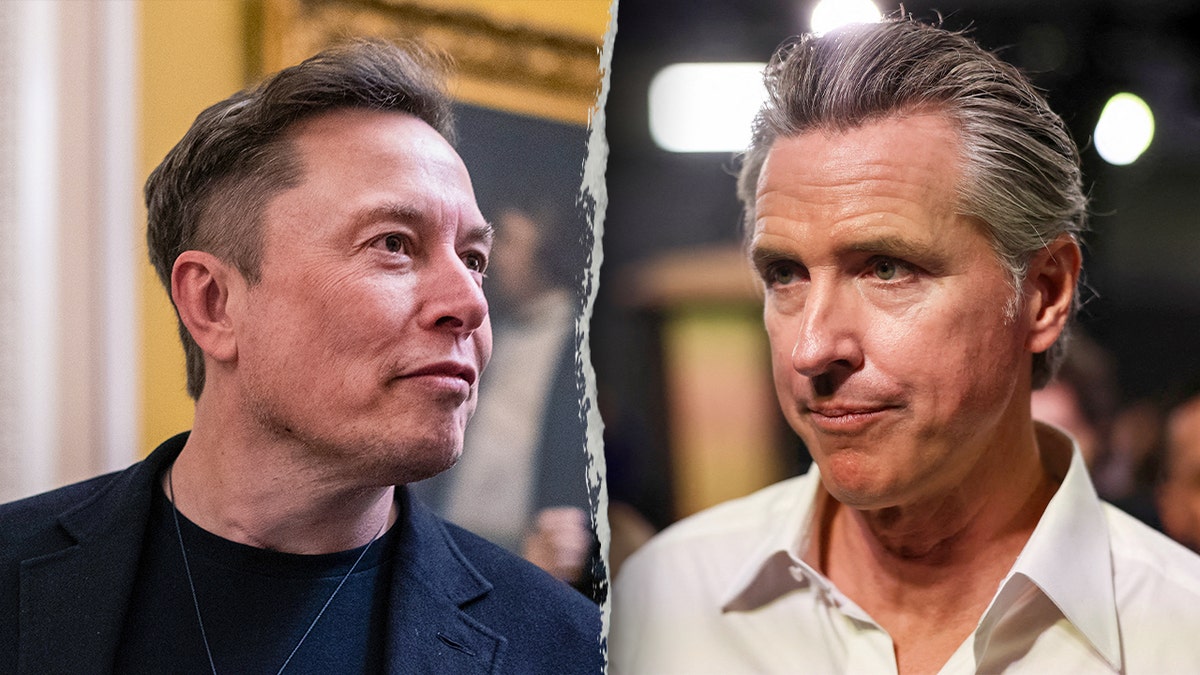 Elon musk and Gavin Newsom shown in a split image