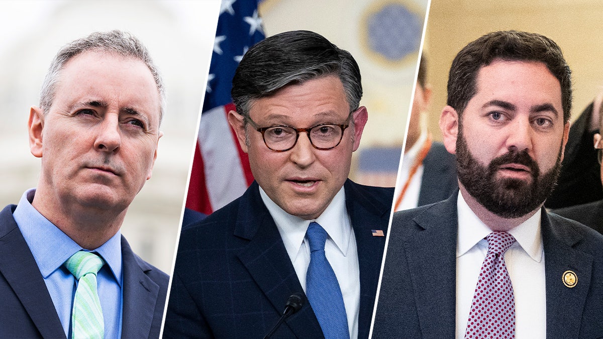 Brian Fitzpatrick, Mike Johnson, Mike Lawler